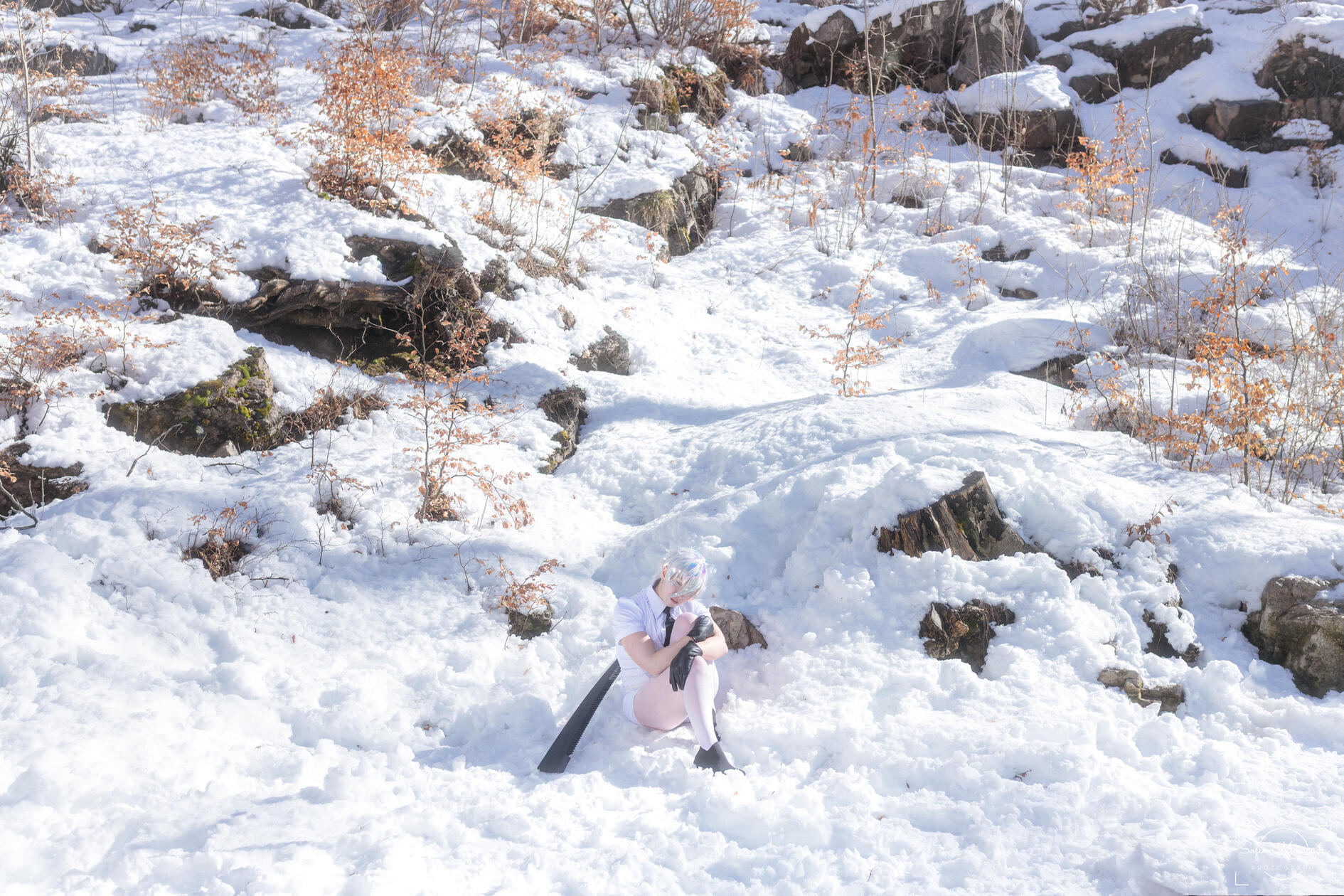 Viicchan - Feb. 2026